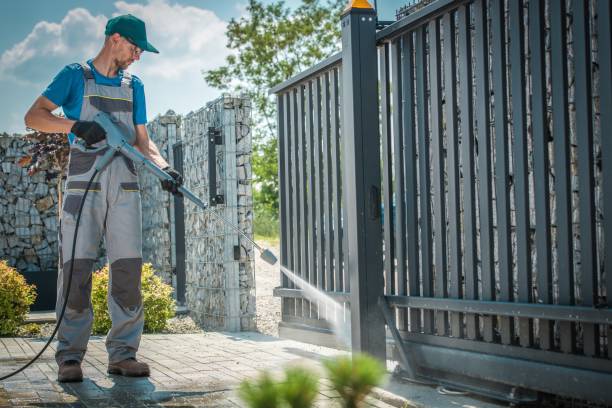 Best Sidewalk and Walkway Cleaning  in Linden, AL