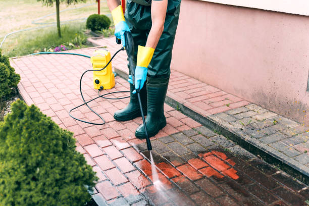 Best Animal Enclosure Cleaning  in Linden, AL